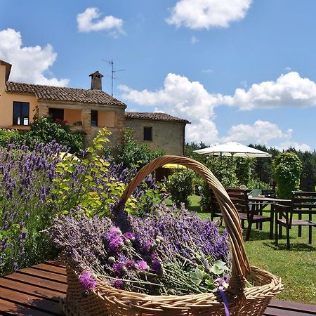 Agriturismo Monterosello Villa Citta di Castello Exterior photo